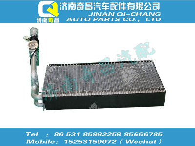 wg1608828005,HOWO配件 HOWO蒸發(fā)器總成(王子、少帥),濟(jì)南奇昌汽車配件有限公司