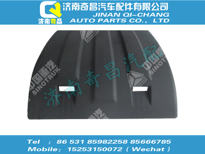 wg9719950155,T5G配件 T5G輪罩上蓋,濟(jì)南奇昌汽車配件有限公司