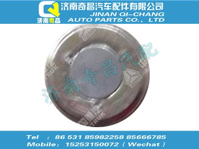 wg9981330024,汕德卡配件 汕德卡磁性內(nèi)六角錐螺塞總成 M24x1.5 DIN158,濟南奇昌汽車配件有限公司