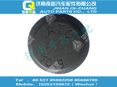 wg9725525120,C7B配件 C7B法蘭螺栓（M20x2.5x95，10.9級，瀚瑞森）,濟南奇昌汽車配件有限公司