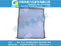wg9412531337,王牌配件 王牌防蟲網(wǎng)總成,濟南奇昌汽車配件有限公司
