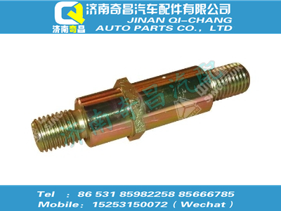 wg9719820019,SITRAK配件舉升缸下支撐軸,濟南奇昌汽車配件有限公司