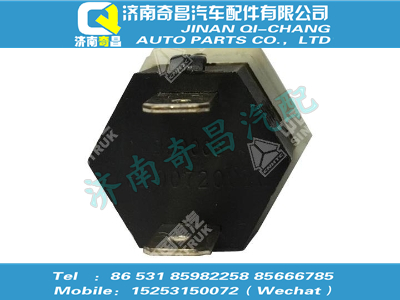 wg6100720020,T7H配件 T7H門燈開關,濟南奇昌汽車配件有限公司