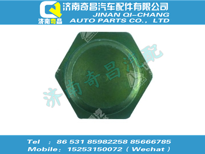 vg1062010017,C7B配件 C7B六角頭螺塞,濟南奇昌汽車配件有限公司