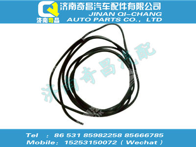 wg1608710010,SITRAK配件嵌條/04398359018,濟(jì)南奇昌汽車(chē)配件有限公司