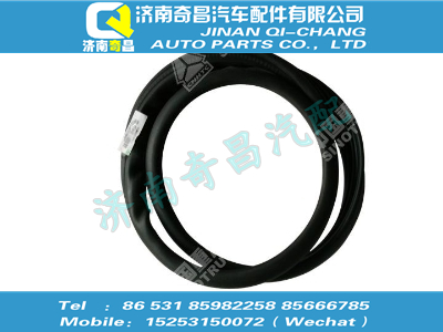 810w66912-0228,HOWO配件 HOWO工具箱側(cè)蓋密封條,濟南奇昌汽車配件有限公司