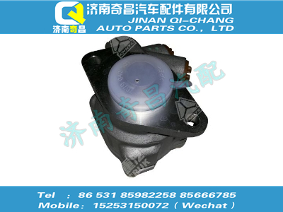 az9516470051,金王子配件 金王子轉(zhuǎn)向葉片泵（MC07、8*4、752W47101-6150）,濟(jì)南奇昌汽車(chē)配件有限公司