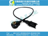vg1238090005,金王子配件 金王子爆震傳感器,濟(jì)南奇昌汽車(chē)配件有限公司