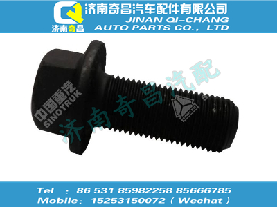 az9970320023,王牌配件 王牌六角法蘭面承面帶齒螺栓,濟南奇昌汽車配件有限公司