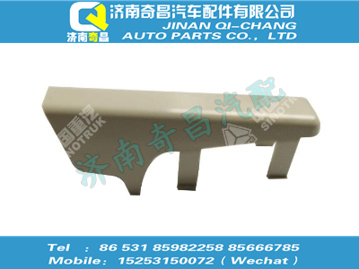 810w62941-0102,王牌配件 王牌右蓋板（與左件對(duì)稱）,濟(jì)南奇昌汽車配件有限公司
