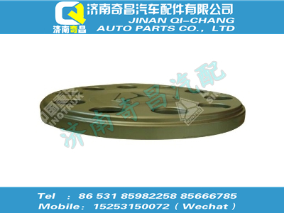 wg9925610040,王牌配件 王牌前輪罩總成（改性PP 335分布圓 銀杏葉標(biāo)識）,濟(jì)南奇昌汽車配件有限公司