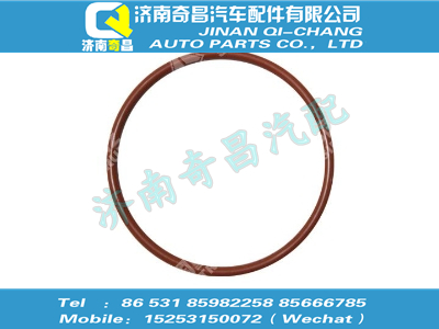 vg1246070010,汕德卡配件 汕德卡O型密封圈,濟(jì)南奇昌汽車配件有限公司