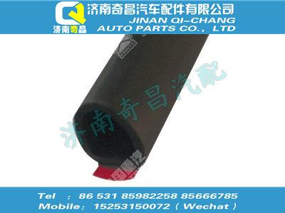 wg1662610056,王牌配件 王牌高地板左側(cè)外車門密封條,濟(jì)南奇昌汽車配件有限公司