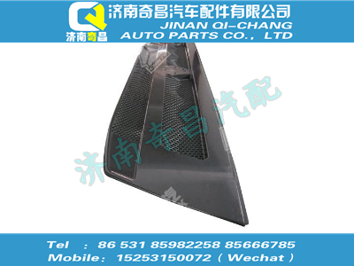 wg1664117061,HOWO配件 HOWOSITRAK面罩裝飾網（窄體）,濟南奇昌汽車配件有限公司
