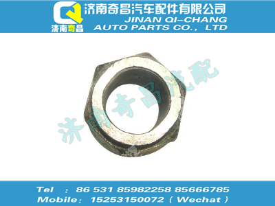 wg9925520269,王牌配件 王牌六角帶肩自鎖螺母,濟(jì)南奇昌汽車(chē)配件有限公司