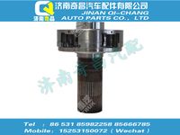 az2203100028,金王子配件 金王子行星架總成(緩速器),濟(jì)南奇昌汽車配件有限公司