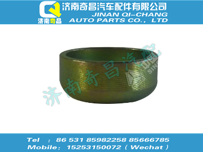 vg1246010041,王牌配件 王牌碗形塞,濟(jì)南奇昌汽車(chē)配件有限公司