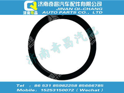 wg9925522223,王牌配件 王牌軸密封圈,濟南奇昌汽車配件有限公司