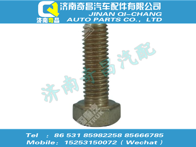 vg1246110058,汕德卡配件 汕德卡增壓器螺栓,濟南奇昌汽車配件有限公司