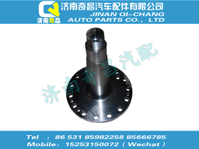 wg4006410011,A7配件 A7轉(zhuǎn)向節(jié)軸,濟南奇昌汽車配件有限公司