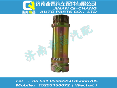 vg1238040104,王牌配件 王牌點(diǎn)火線圈襯套,濟(jì)南奇昌汽車配件有限公司