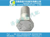 wg9725310124,C7B配件 C7B導徑螺栓,濟南奇昌汽車配件有限公司