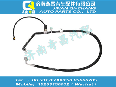wg1684821036,王牌配件 王牌儲、蒸軟管總成,濟(jì)南奇昌汽車配件有限公司