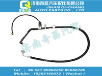 wg1684821036,王牌配件 王牌儲、蒸軟管總成,濟(jì)南奇昌汽車配件有限公司