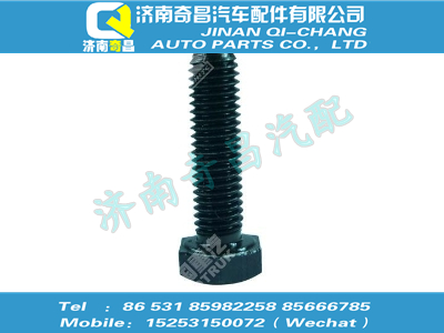 vg1540040024,SITRAK配件六角頭螺栓,濟(jì)南奇昌汽車(chē)配件有限公司