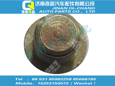 az9009000001,王牌配件 王牌內(nèi)六角花形圓柱頭螺釘,濟(jì)南奇昌汽車配件有限公司