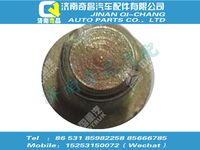 az9009000001,王牌配件 王牌內(nèi)六角花形圓柱頭螺釘,濟(jì)南奇昌汽車配件有限公司