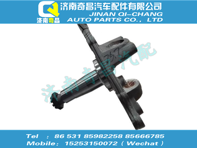 az9100414058,王牌配件 王牌轉向節(jié)帶鎖緊螺母總成(左),濟南奇昌汽車配件有限公司