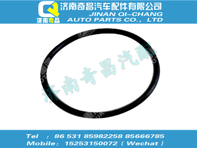 1205g761,C7B配件 C7BO 形圈,濟(jì)南奇昌汽車配件有限公司