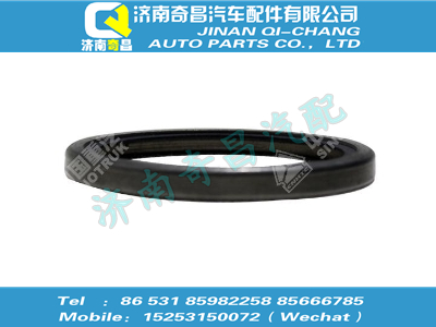 vg1500061204,金王子配件 金王子水封圈,濟南奇昌汽車配件有限公司