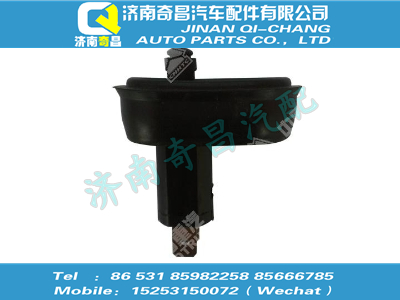 wg9918790001,SITRAK配件門燈開關(guān),濟(jì)南奇昌汽車配件有限公司