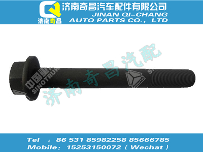 wg9725525114,T5G配件 T5G六角法蘭螺栓（M20x1.5x160，10.9級，瀚瑞森）,濟南奇昌汽車配件有限公司