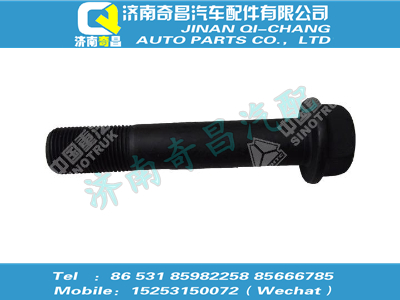 az9981320016,C7B配件 C7B六角法蘭面承面帶齒螺栓,濟(jì)南奇昌汽車(chē)配件有限公司
