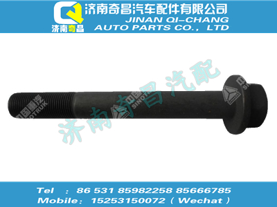 wg9725525128,王牌配件 王牌六角法蘭螺栓（M20x1.5x75，10.9級，瀚瑞森）,濟(jì)南奇昌汽車配件有限公司