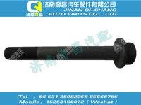 wg9725525128,王牌配件 王牌六角法蘭螺栓（M20x1.5x75，10.9級，瀚瑞森）,濟(jì)南奇昌汽車配件有限公司