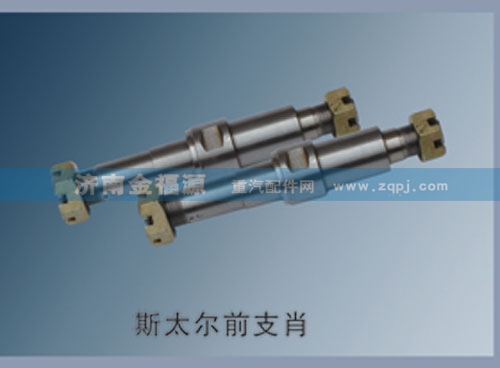 斯太爾前支肖/