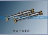 斯太爾前支肖