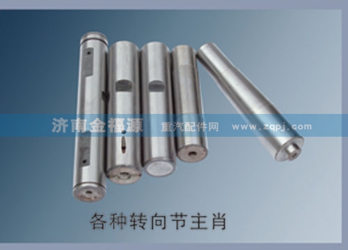 各種轉(zhuǎn)向節(jié)主肖/