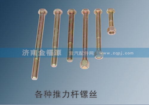 各種推力桿鏍絲/