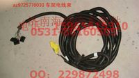 AZ9725776030,車(chē)架電線(xiàn)束630,濟(jì)南海納汽配有限公司
