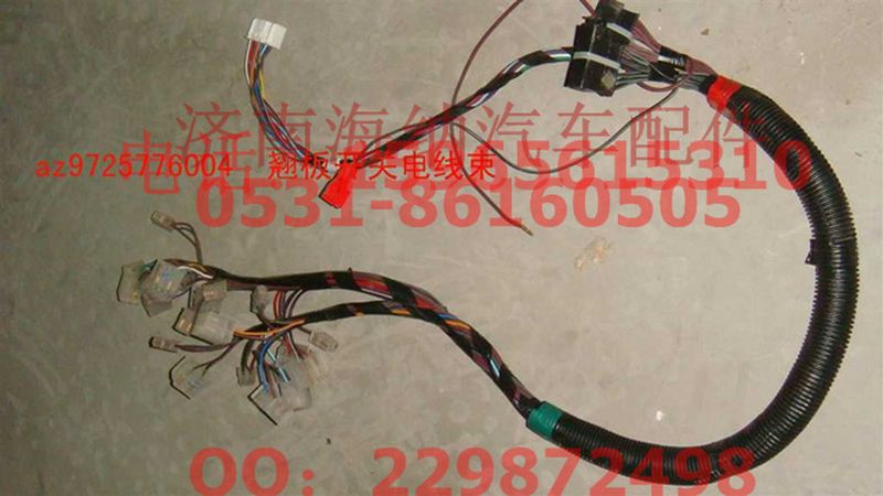 AZ9725776004,翹板開(kāi)關(guān)電線束,濟(jì)南海納汽配有限公司
