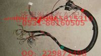 AZ9725776004,翹板開(kāi)關(guān)電線束,濟(jì)南海納汽配有限公司