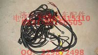 AZ9725775162,09款礦用自卸車(chē)底盤(pán)電線束（HW箱）,濟(jì)南海納汽配有限公司