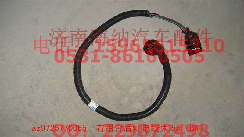 AZ9725770065,右組合后燈電線(xiàn)束50（BW）,濟(jì)南海納汽配有限公司
