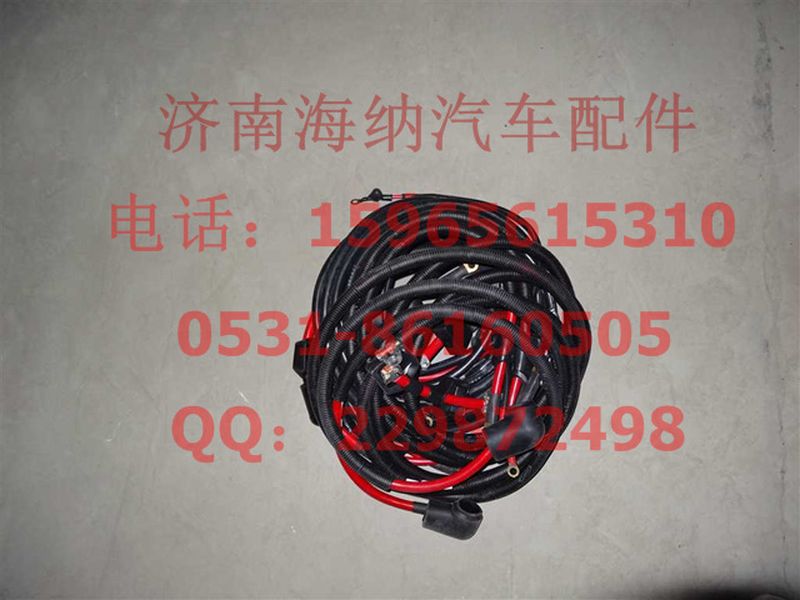 AZ9721778331,起動機電線束(左置22001650),濟南海納汽配有限公司