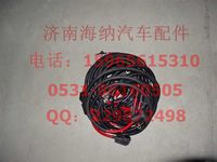 AZ9721778331,起動機電線束(左置22001650),濟南海納汽配有限公司